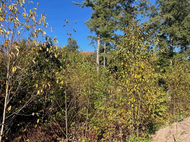 8886 Hemlock Hill Drive, Traverse City, MI 49685