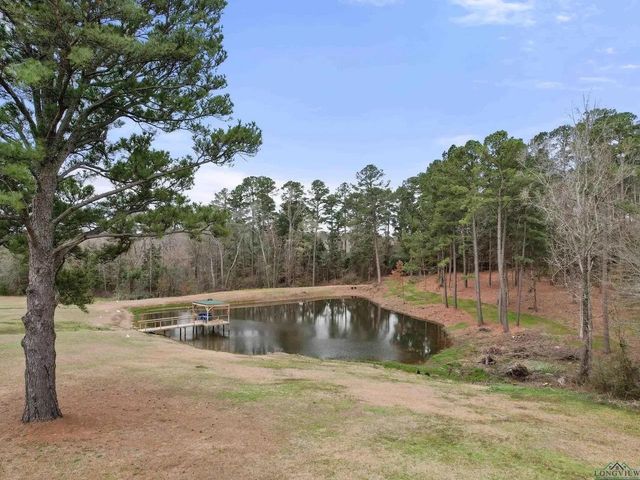 5466 GLENWOOD DRIVE, Gilmer, TX 75645