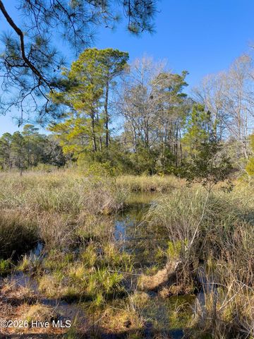 1907 Redfish Run SW, Supply, NC 28462