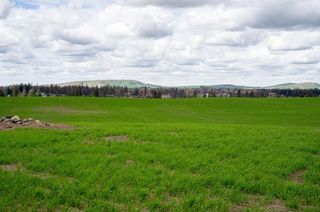 NKA Duck Pond Lot 2 Ln, Medical Lake, WA 99022