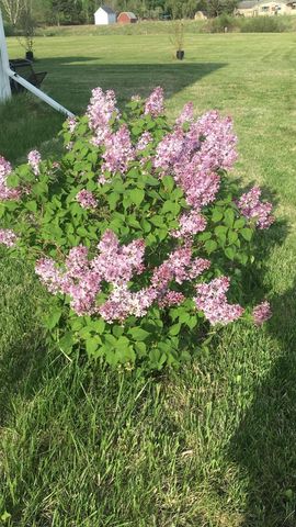 4318 E Valley Brook Road, Superior, WI 54880