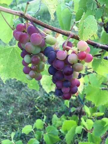 4318 E Valley Brook Road, Superior, WI 54880