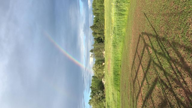 4318 E Valley Brook Road, Superior, WI 54880