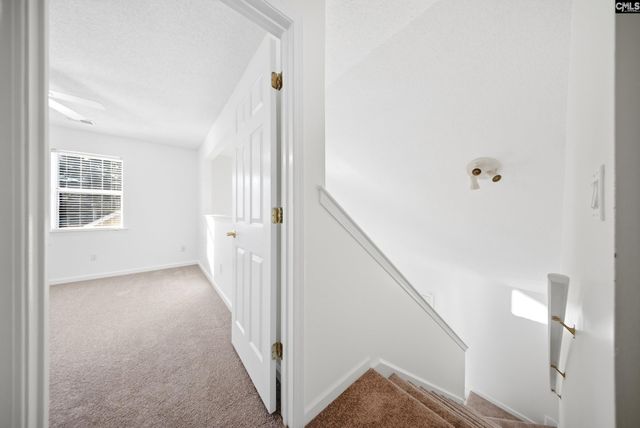 1025 Bradford Ridge Lane, Columbia, SC 29223