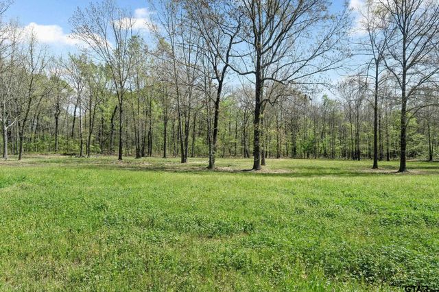 6256 County Road 1915, Mount Pleasant, TX 75455