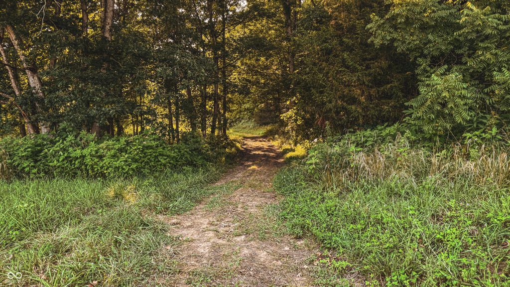 2297 W Popcorn Road