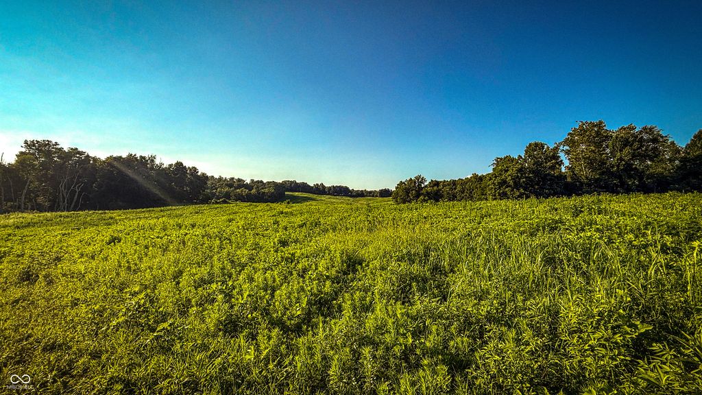 2297 W Popcorn Road
