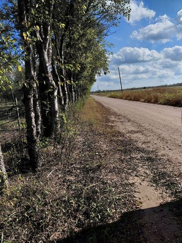 TBD County Road 2340, Streetman, TX 75859