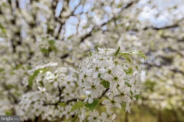 11464 WINSLOW DR, Orange, VA 22960