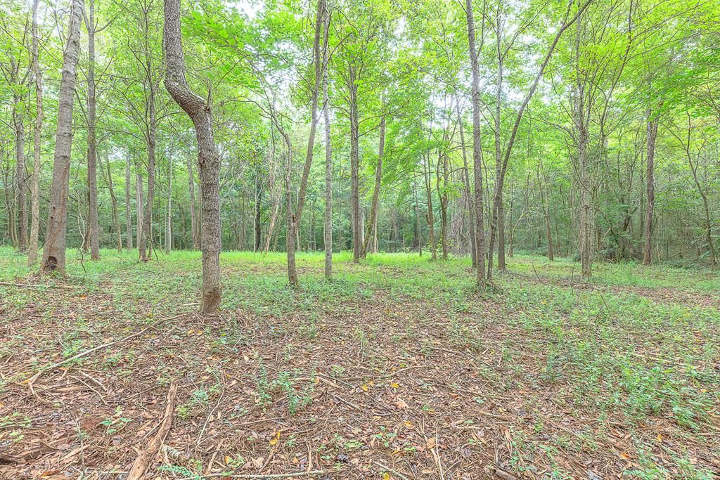 TRACT 5 Old Dalton Cleveland Hwy, Cohutta, GA 30710