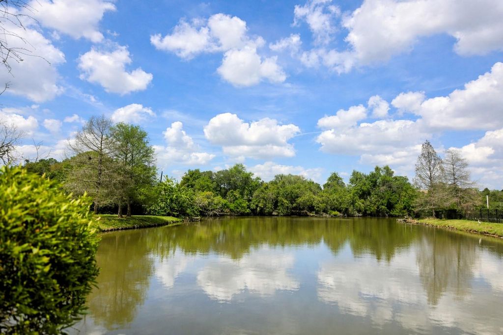 511 Orchard Lane, Sugar Land, TX 77498