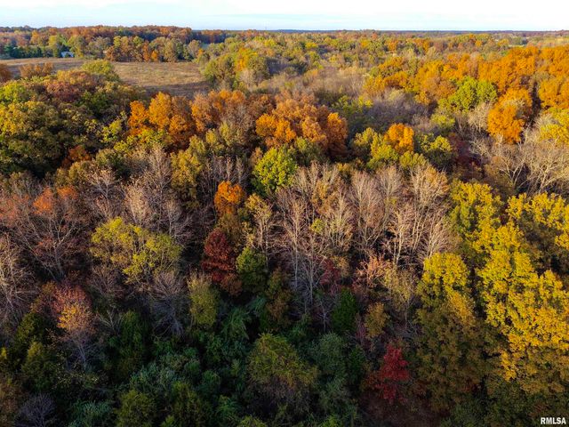 18492 Moonbeam Lane, Mt Vernon, IL 62864