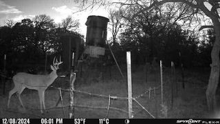 TBD Hcr-2115, Whitney, TX 76692