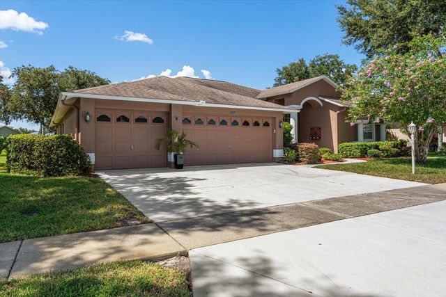 1237 RAMBLING VINE COURT, Trinity, FL 34655