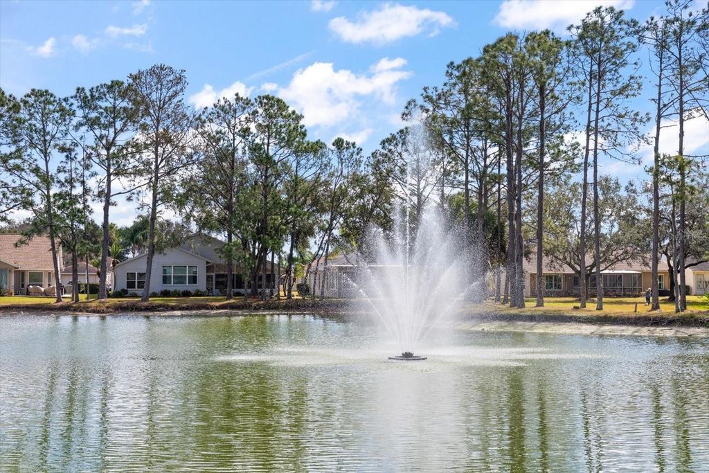 Image 23 of property listing at 1237 RAMBLING VINE COURT, New Port Richey, FL 34655