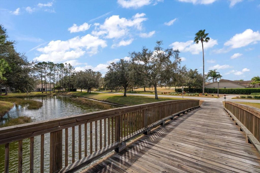 Image 32 of property listing at 1237 RAMBLING VINE COURT, New Port Richey, FL 34655
