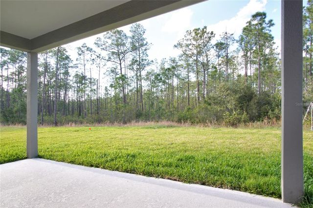 1419 EUCALYPTUS WAY, Davenport, FL 33837