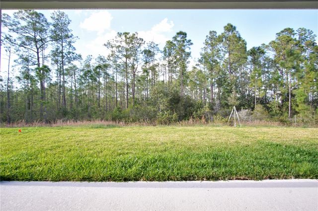 1419 EUCALYPTUS WAY, Davenport, FL 33837