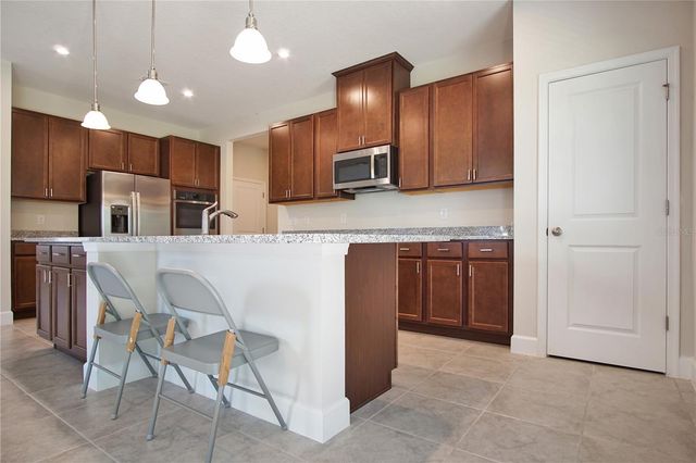 1419 EUCALYPTUS WAY, Davenport, FL 33837