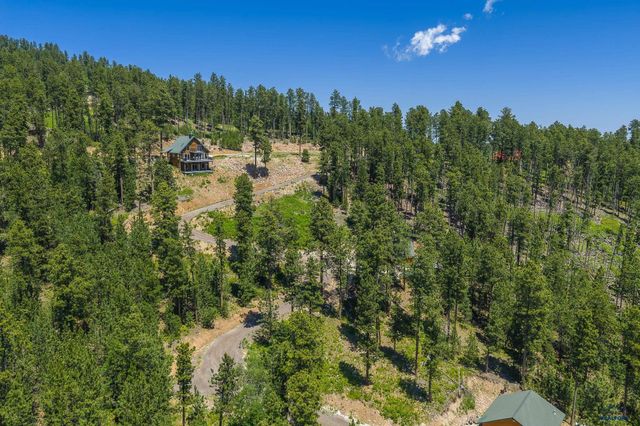 21310 CABIN RD, Lead, SD 57754