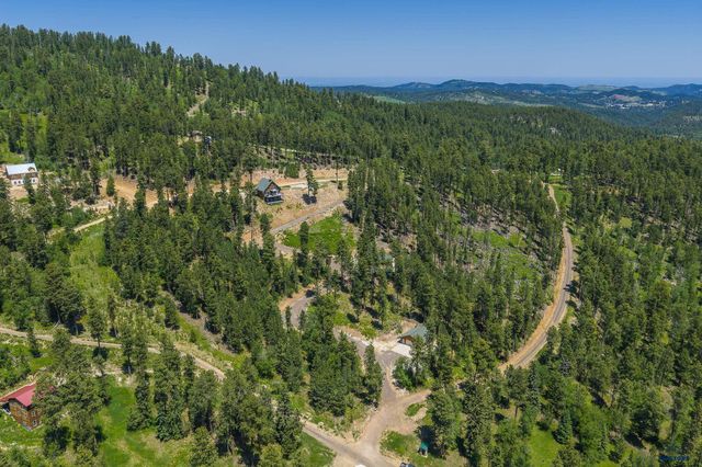 21310 CABIN RD, Lead, SD 57754