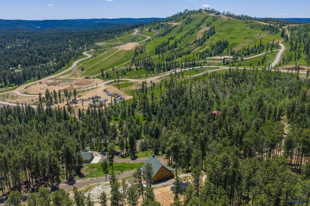 21310 CABIN RD, Lead, SD 57754