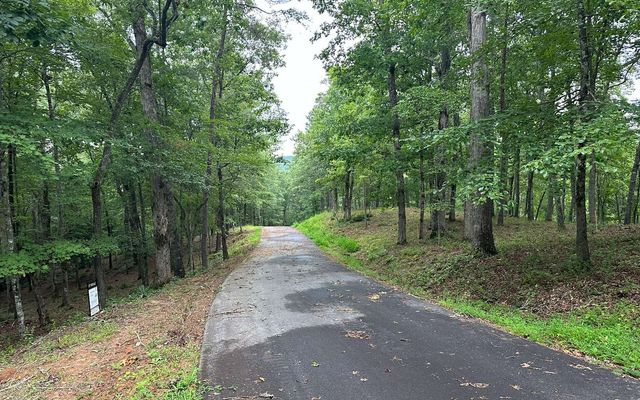 Lot 19 Brasstown Trails, Brasstown, NC 28909