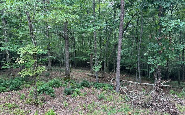 Lot 19 Brasstown Trails, Brasstown, NC 28909