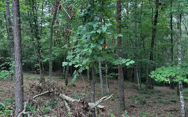 Lot 19 Brasstown Trails, Brasstown, NC 28909