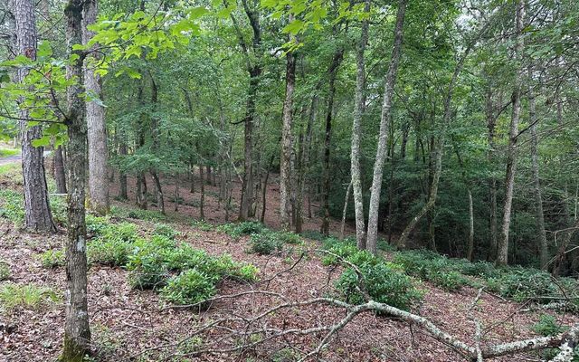 Lot 19 Brasstown Trails, Brasstown, NC 28909