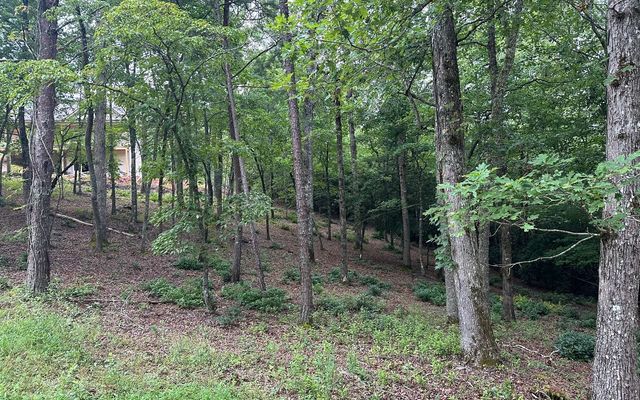 Lot 19 Brasstown Trails, Brasstown, NC 28909