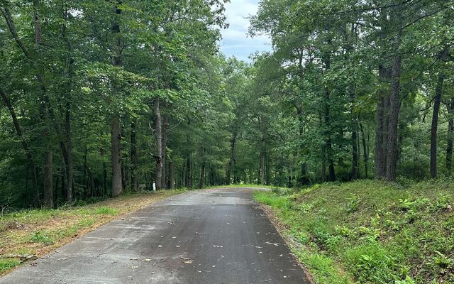 Lot 19 Brasstown Trails, Brasstown, NC 28909