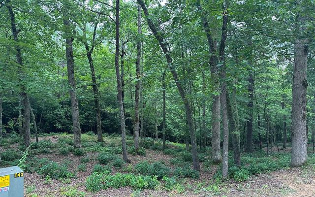 Lot 19 Brasstown Trails, Brasstown, NC 28909