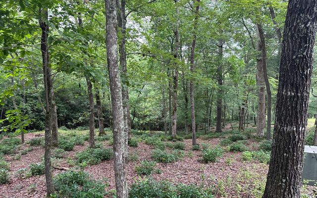 Lot 19 Brasstown Trails, Brasstown, NC 28909