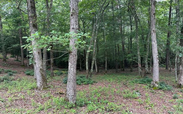 Lot 19 Brasstown Trails, Brasstown, NC 28909