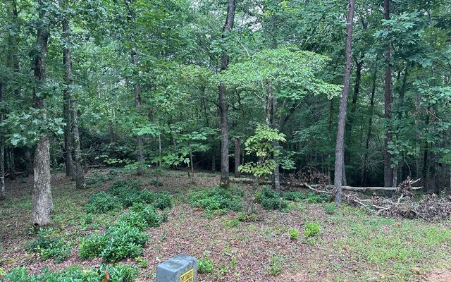 Lot 19 Brasstown Trails, Brasstown, NC 28909