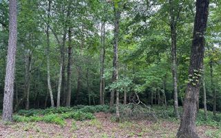 Lot 19 Brasstown Trails, Brasstown, NC 28909