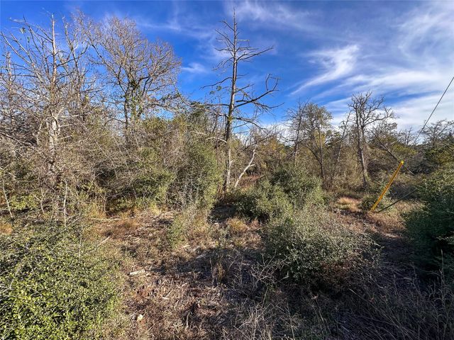 243 Hanauma DR, Bastrop, TX 78602