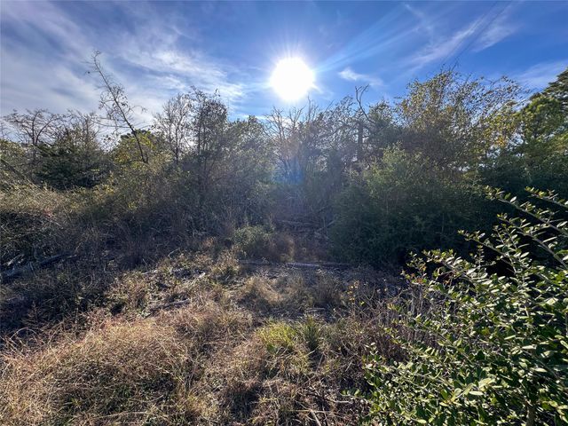 243 Hanauma DR, Bastrop, TX 78602