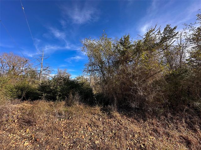 243 Hanauma DR, Bastrop, TX 78602