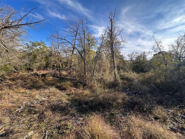 243 Hanauma DR, Bastrop, TX 78602