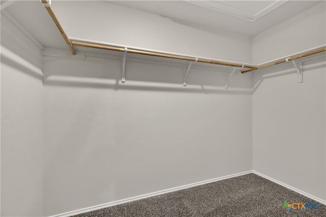 400 WILD GOOSE Drive, Luling, TX 78648