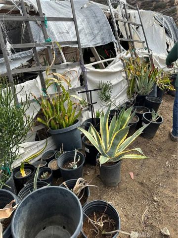 41720 Oak Canyon, Hemet, CA 92544