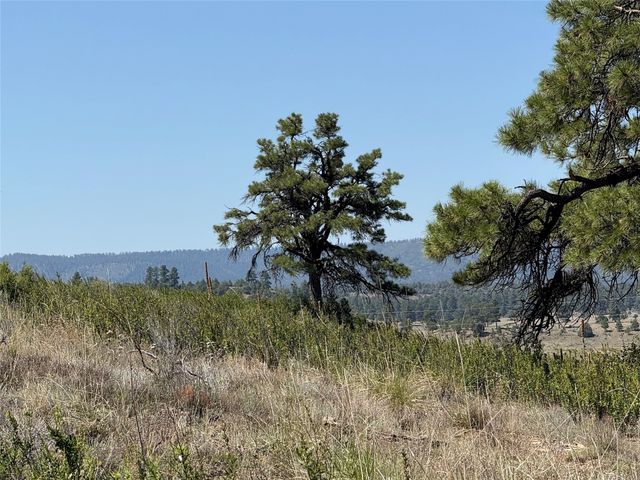 0 PD 1796, Chama, NM 87520