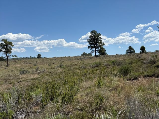 0 PD 1796, Chama, NM 87520