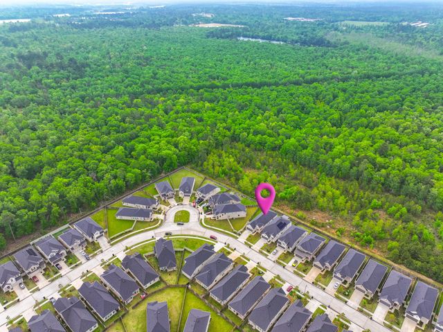 10598 Wild Chives, Conroe, TX 77385