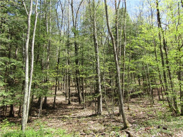 541-557 Yaramenko Road, Middletown, NY 12455