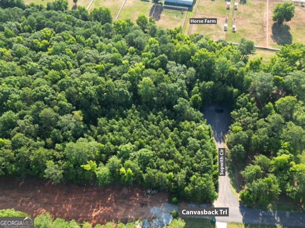 369 Canvasback Trail 147, Locust Grove, GA 30248 — exterior