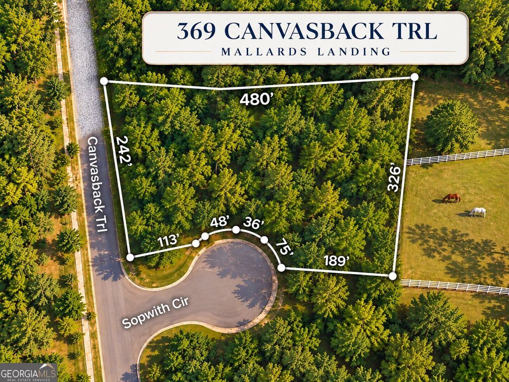 369 Canvasback Trail 147, Locust Grove, GA 30248 — photo 2