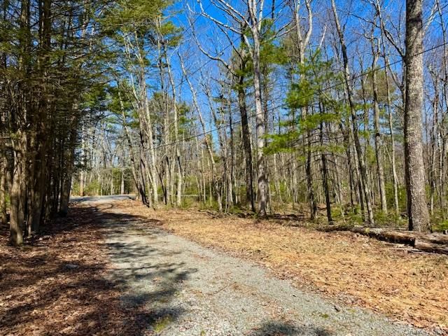 42 Devlin Road, Highland Lake, NY 12743